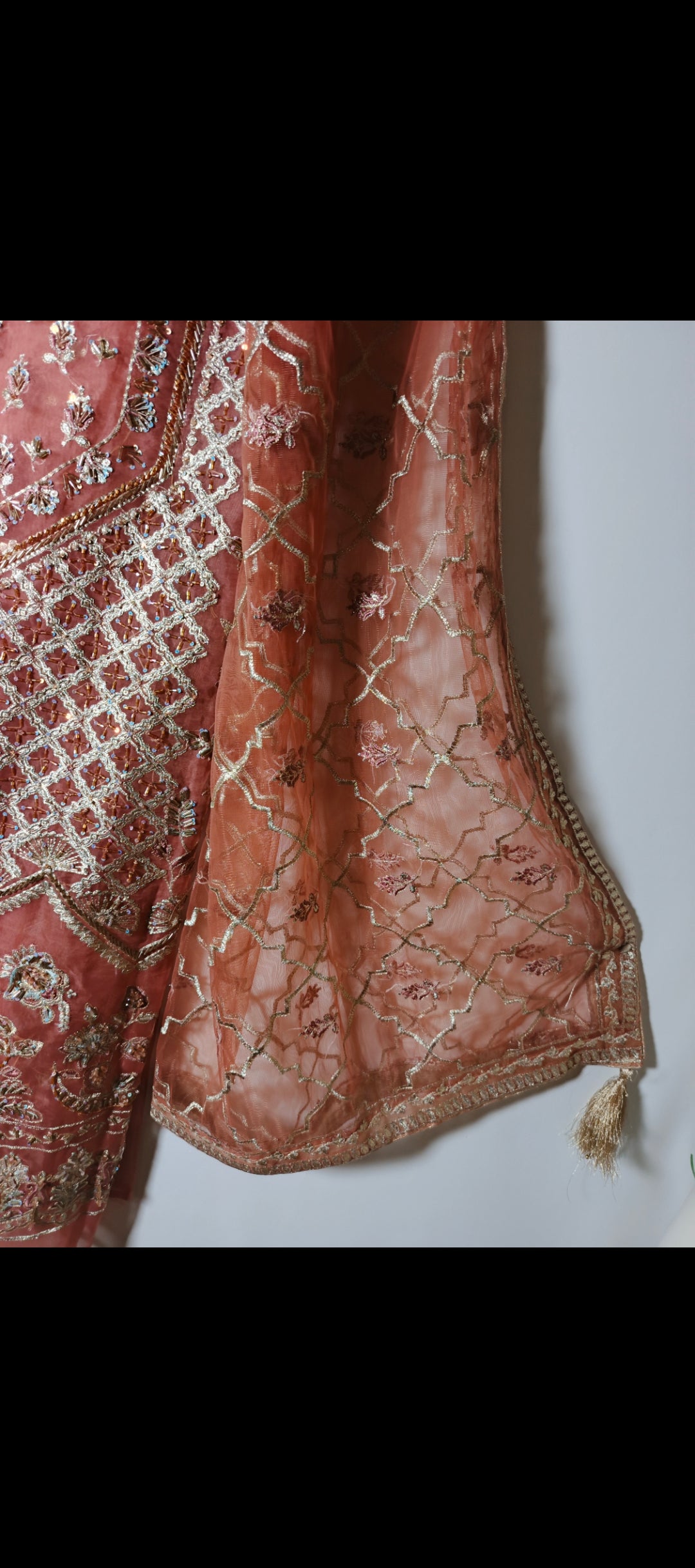 Unsttiched 3pc Organza handworked