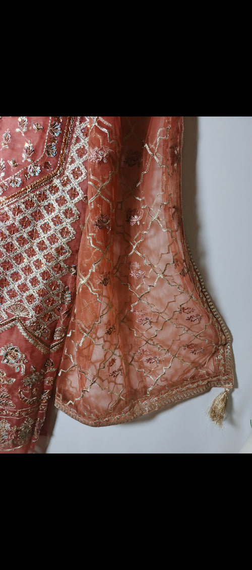 Unsttiched 3pc Organza handworked